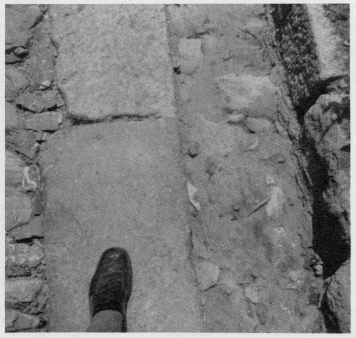 11. Schritt, Bild: Paestum 1971 © Melusine Huss.
